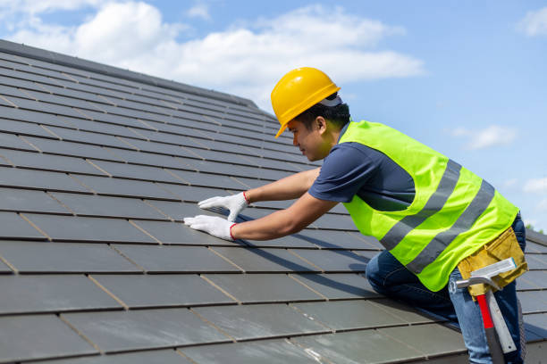 Best Commercial Roof Installation  in Paynesville, MN