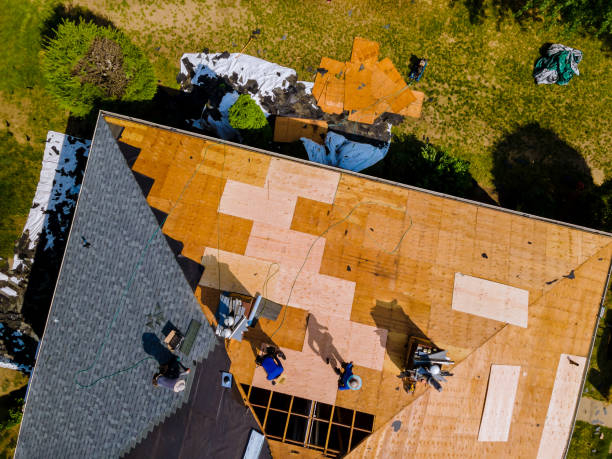 Quick and Trustworthy Emergency Roof Repair Services in Paynesville, MN